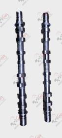  Arbres à cames Renault Clio 3 RS 2.0 L 16V F4R 0381 E1 881-01/02
